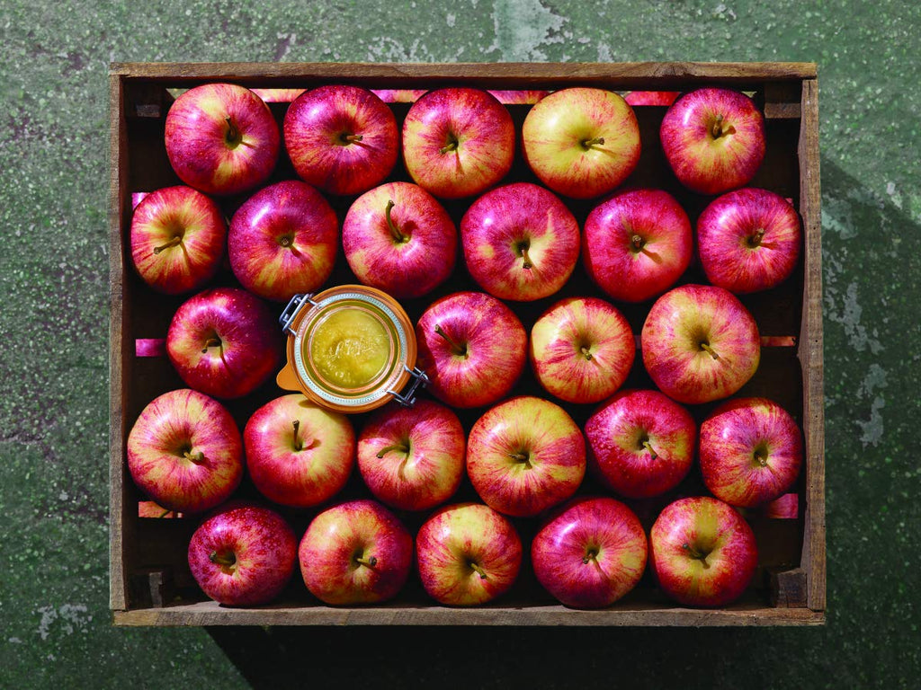 Le Parfait Super Terrines - Wholesale