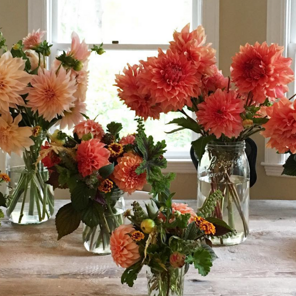 Le Parfait Screw Top Jars - Wholesale