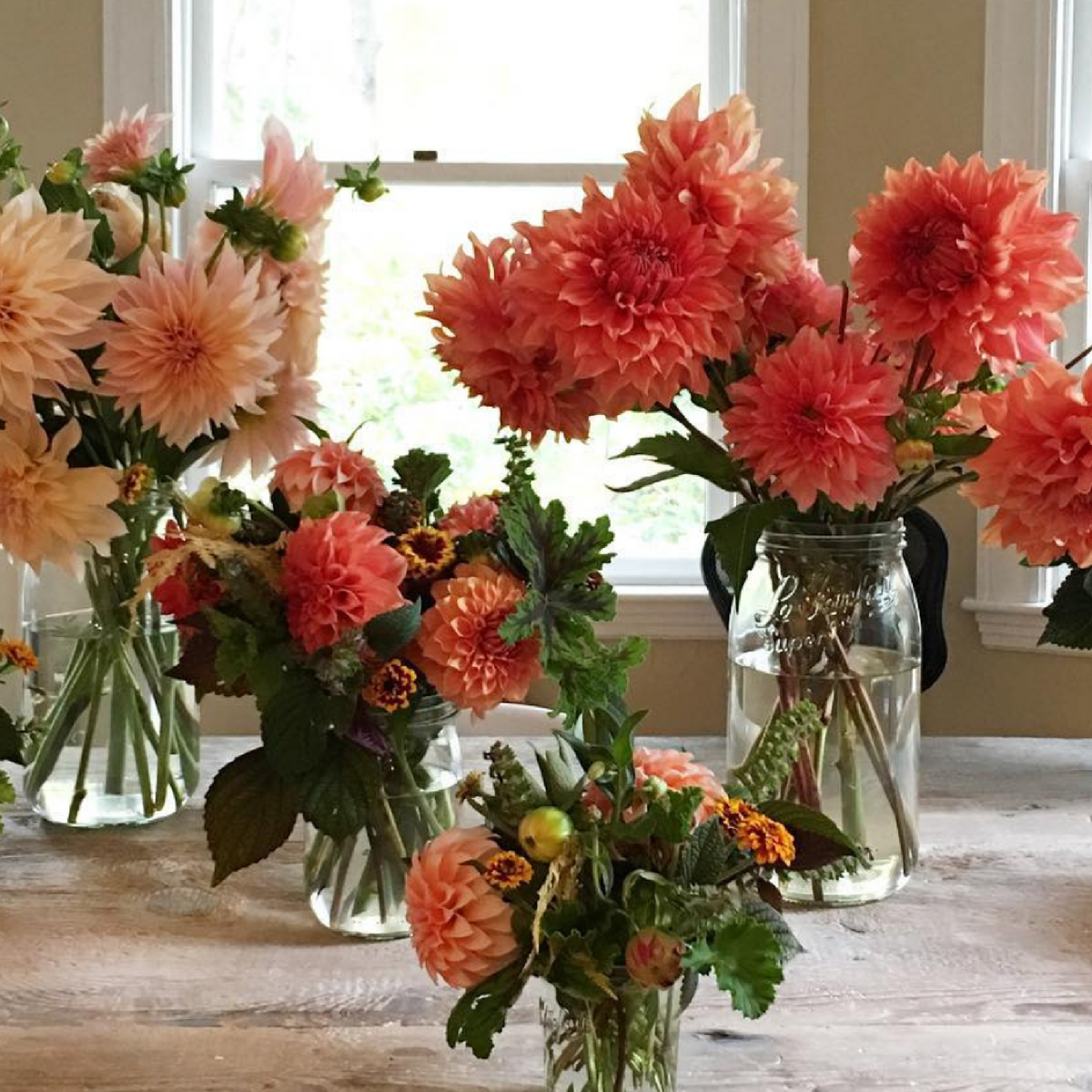 Le Parfait Screw Top Jars - Wholesale