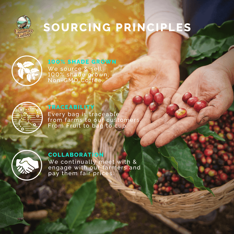 Castaway Coffee  Bourbon K-Cup Pod 12 Count