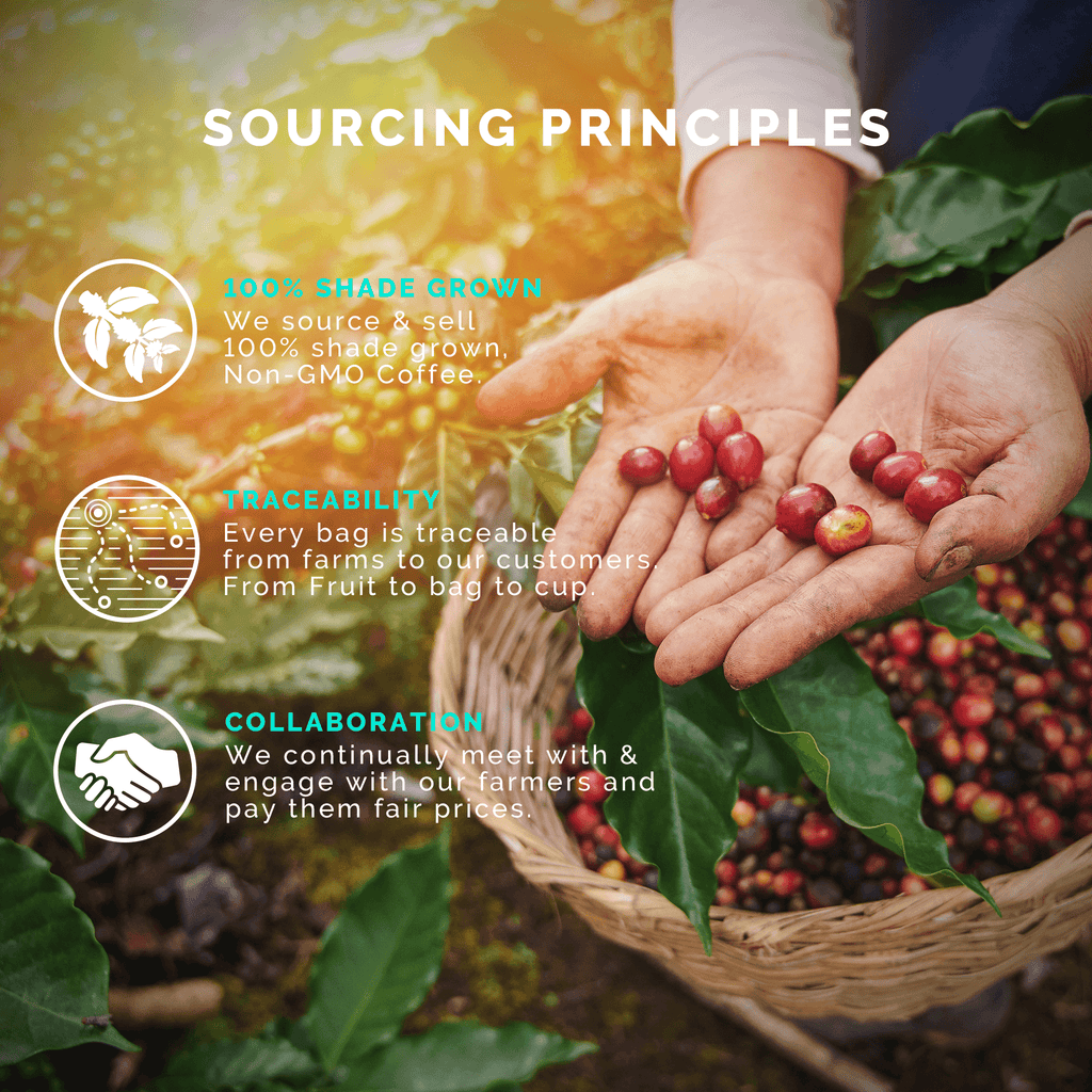 Medium-Dark Roast Starter Pack (Guatemalan Delight, Dark Roast, Cuban Espresso; 12OZ)