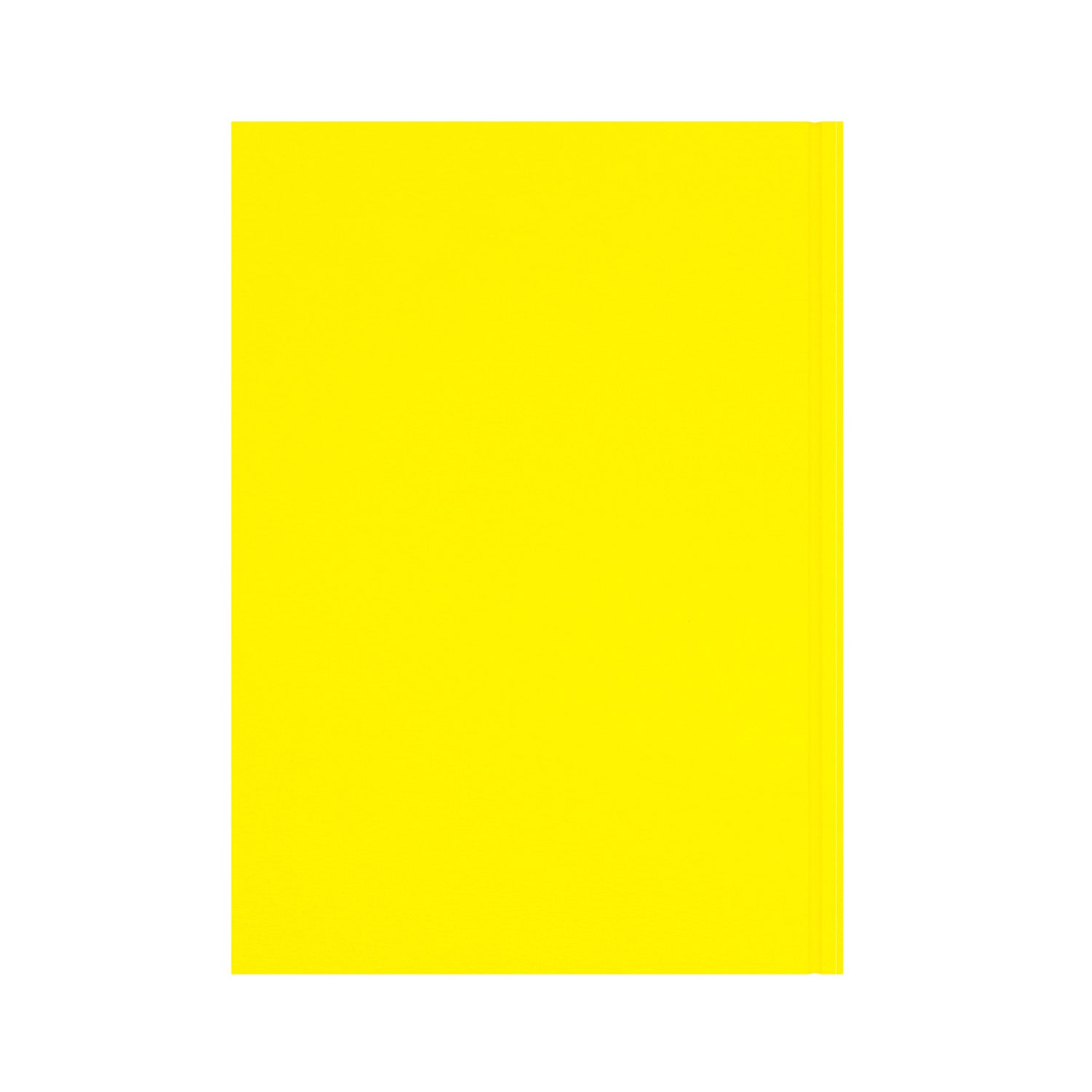 Essentials - A4 Day-to-Page with Appointments Mid/Academic Year Diary Planner 2025-2026