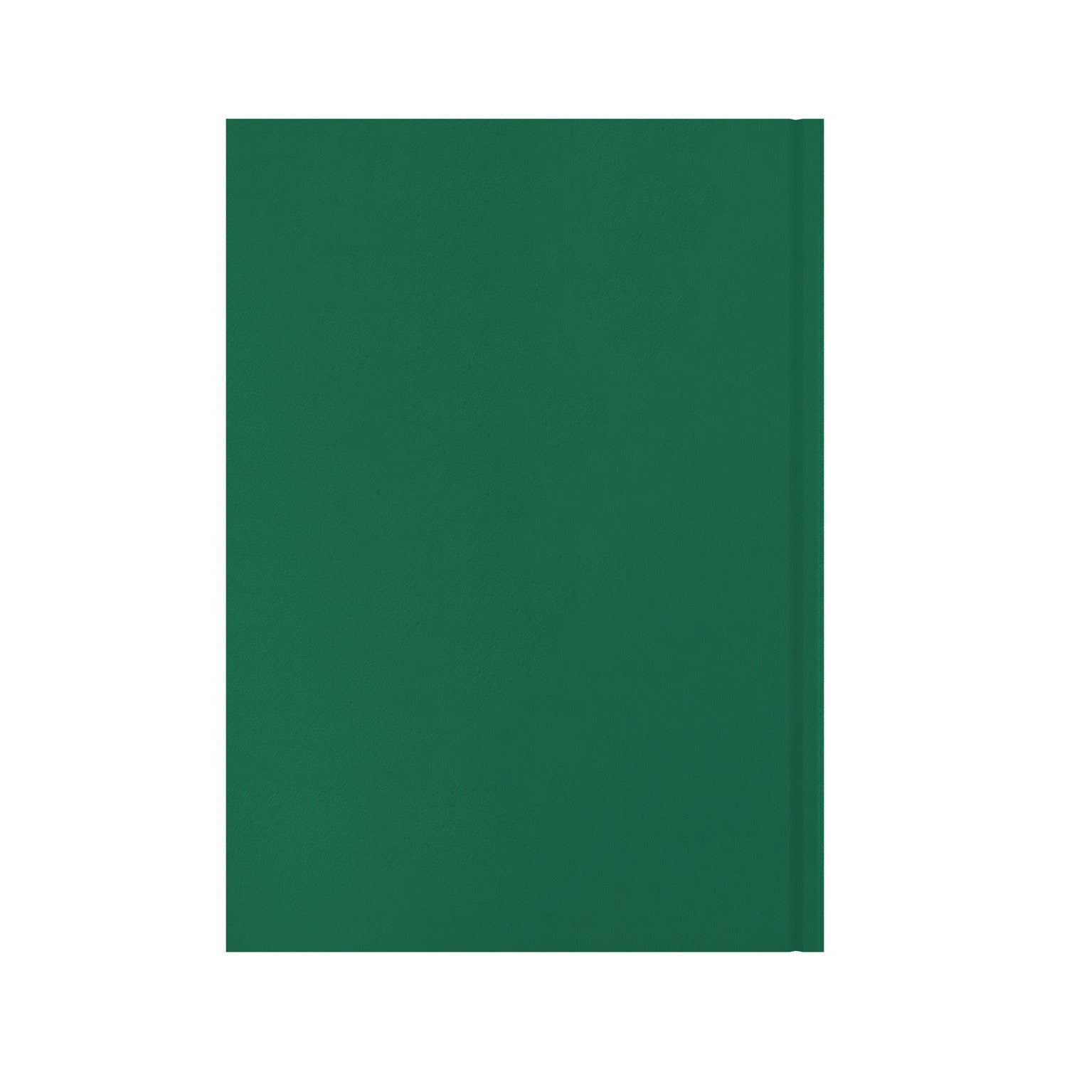 Essentials - A4 Day-to-Page with Appointments Mid/Academic Year Diary Planner 2025-2026