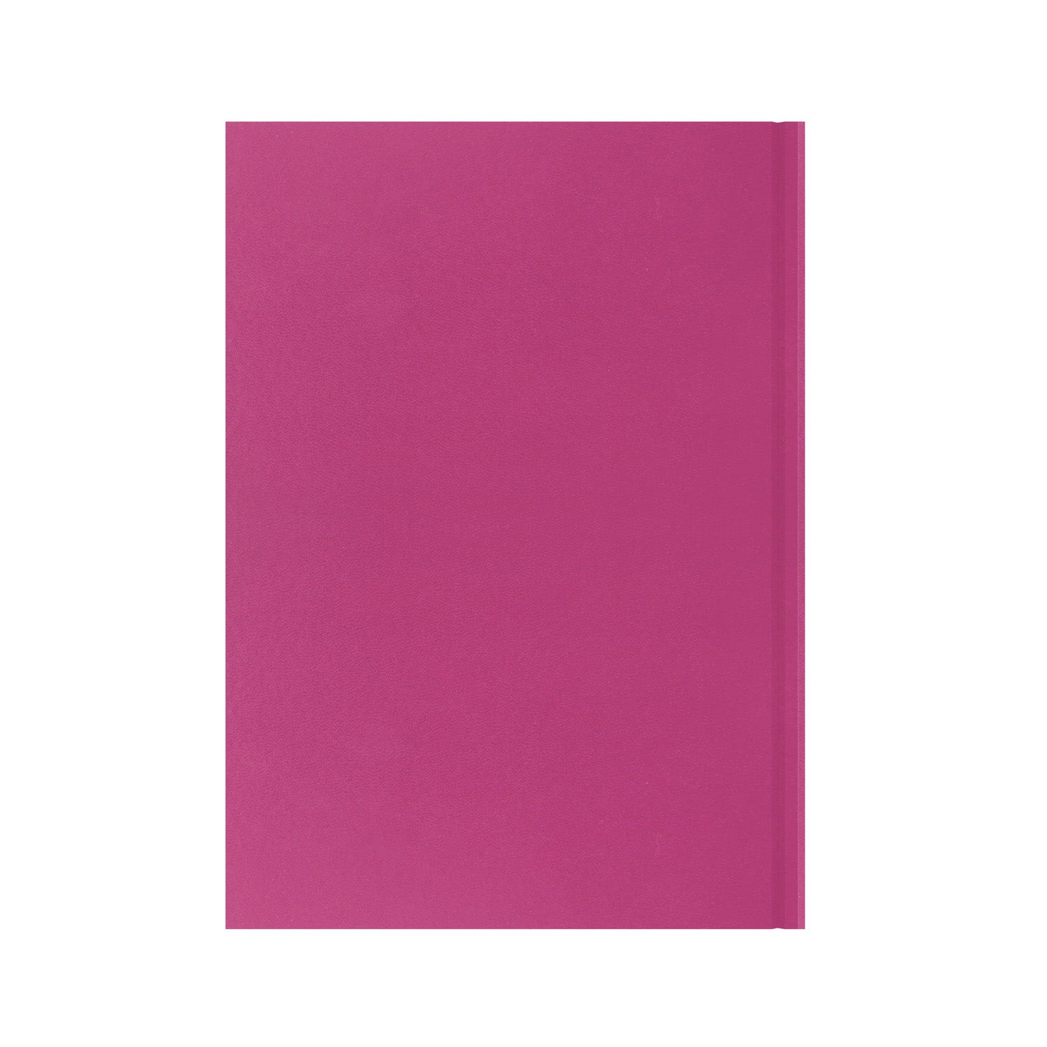 Essentials - A4 Week-to-View with Appointments Mid/Academic Year Diary Planner 2025-2026