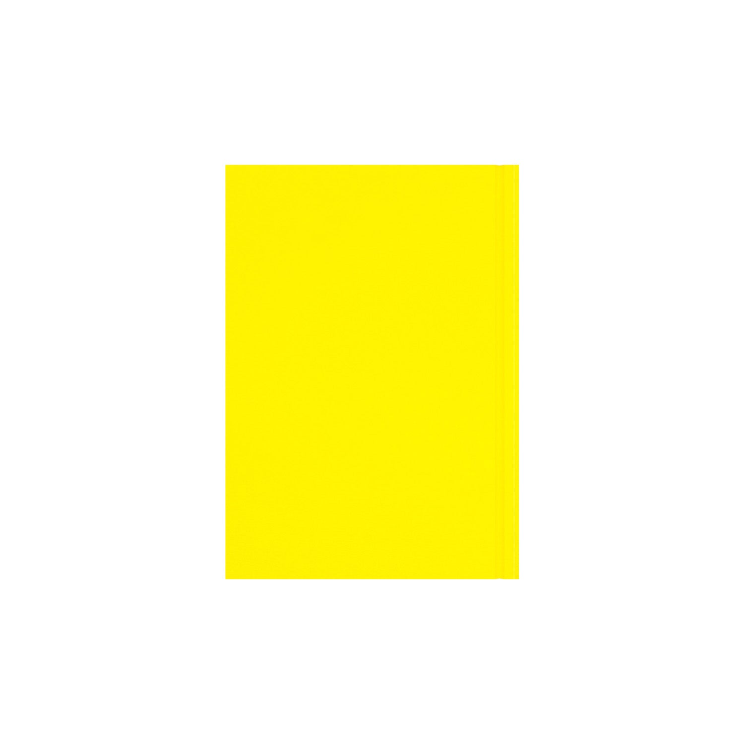 Essentials - A5 Day-to-Page with Appointments Mid/Academic Year Diary Planner, July 2025 - July 2026