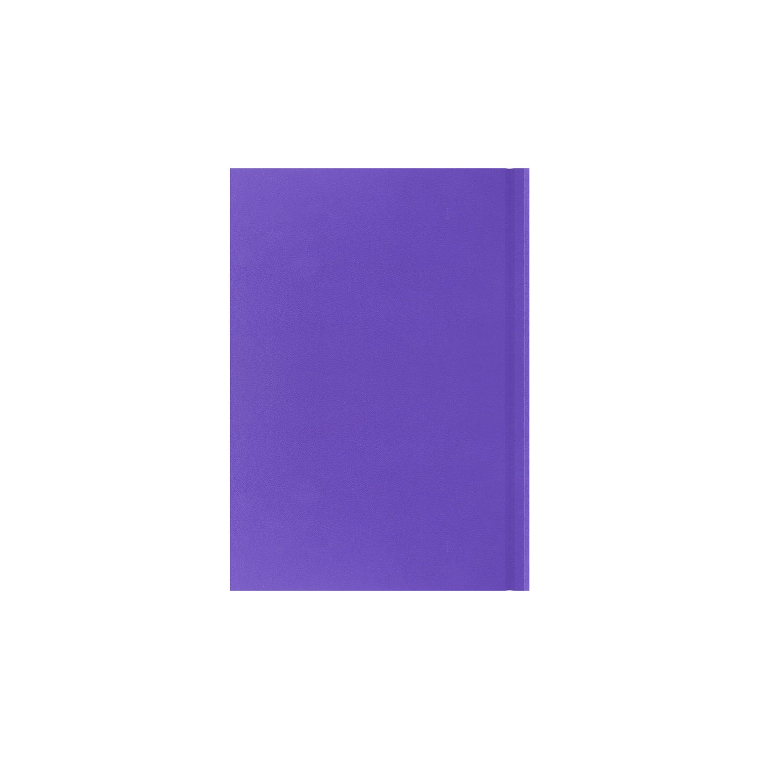 Essentials - A5 Day-to-Page with Appointments Mid/Academic Year Diary Planner, July 2025 - July 2026