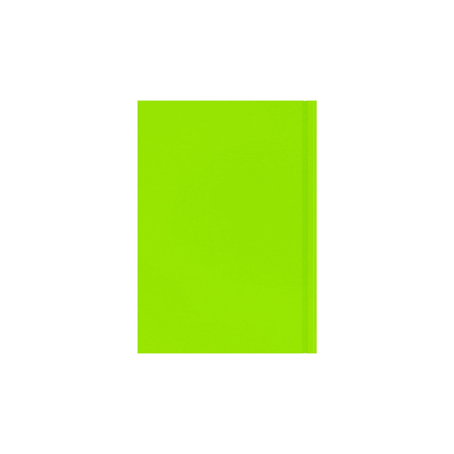 Essentials - A5 Day-to-Page with Appointments Mid/Academic Year Diary Planner, July 2025 - July 2026