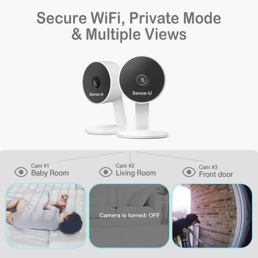 AI Indoor Cam