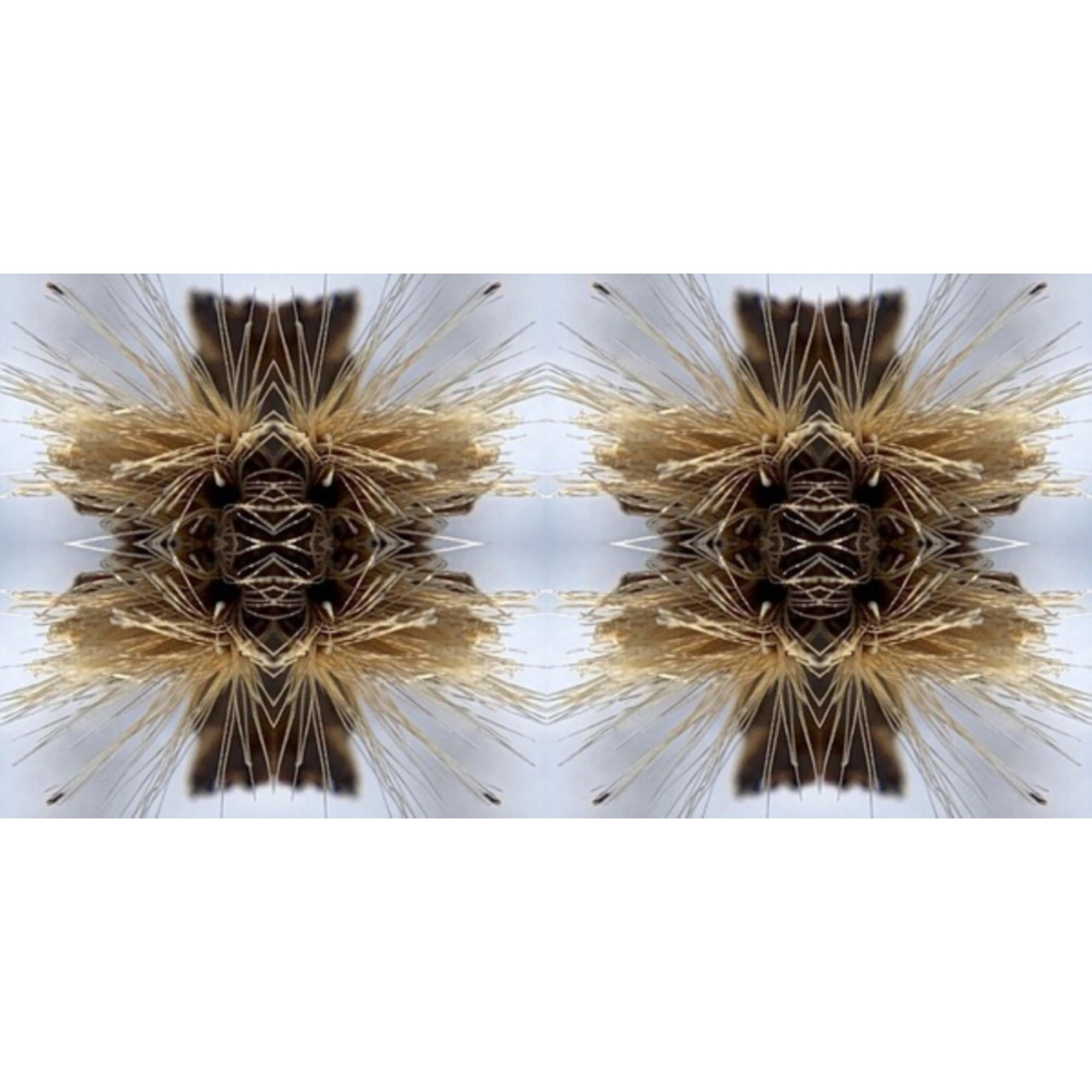 Yakuza - Sutra (2LP) & Sutra (Gold Vinyl/2LP)