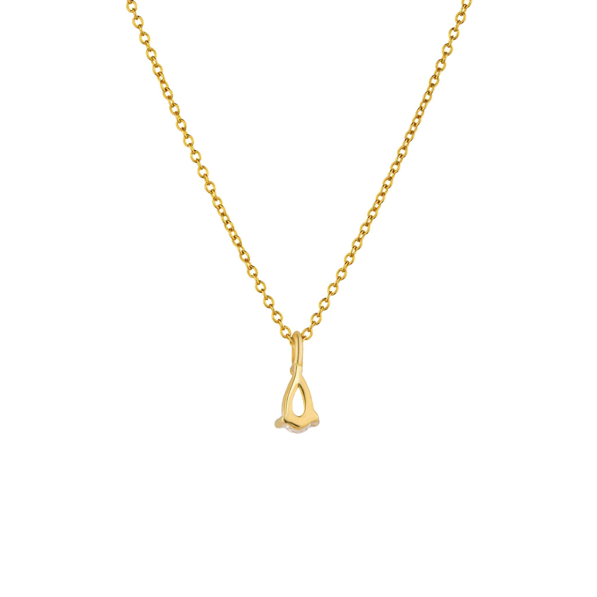 Delight Teardrop Necklace