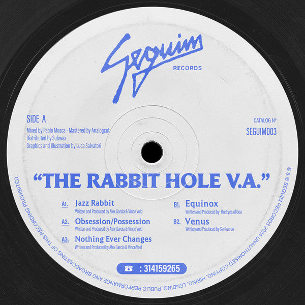 The Rabbit Hole V.A. (VINYL) | Mint (M) Generic
