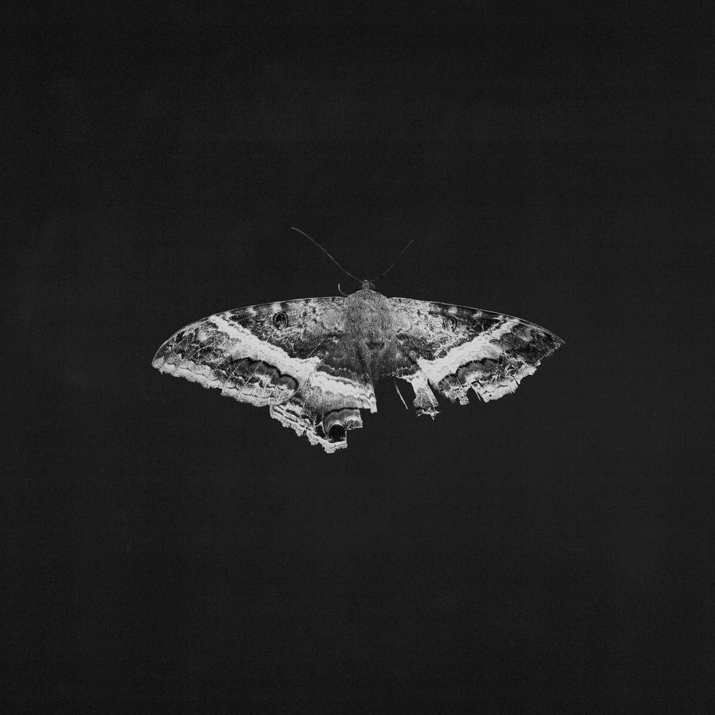 To Pimp A Butterfly (2 LP 10 Year Anniversary- Alternate Artwork (Black marble Vinyl) | Mint (M) Mint (M)